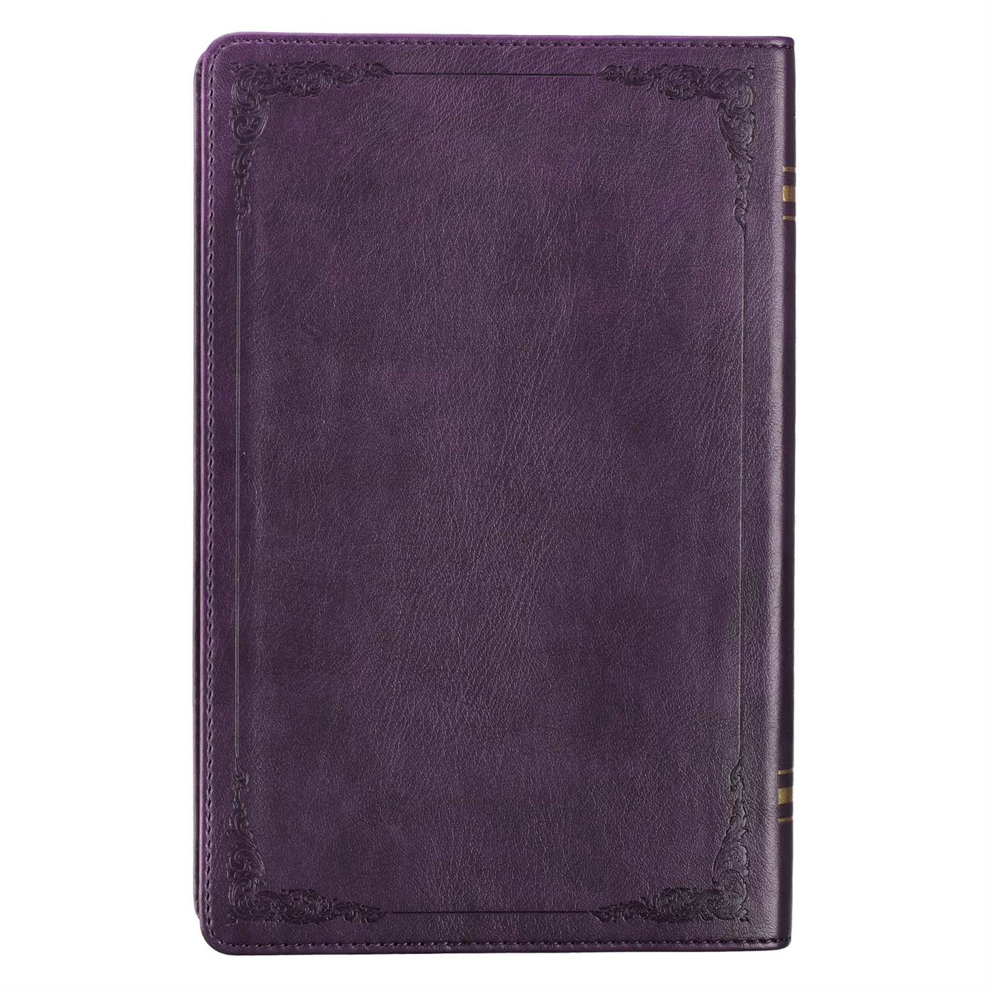 206-1103 Product Image 2