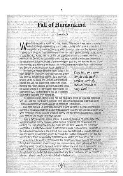 206-1118 Product Image 5