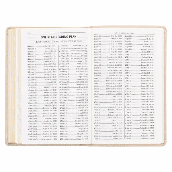 206-1128 Product Image 6