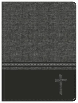 The Barbour Simplified KJV Bible (Teen Boys)