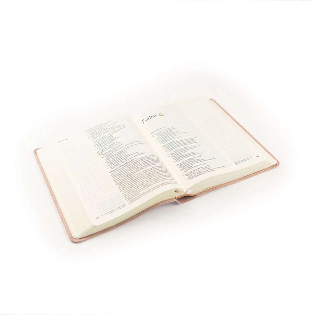 Product 206-1205 - View 6 206-1205 Product Image 6