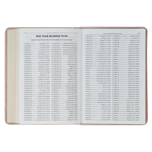 206-1231 Product Image 4