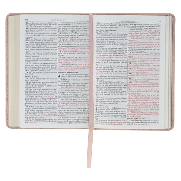 206-1231 Product Image 6