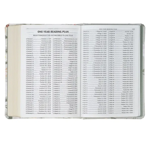 206-1233 Product Image 4