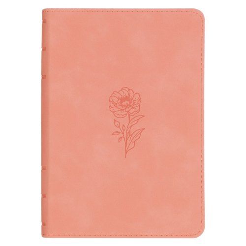 206-1236 Product Image 1