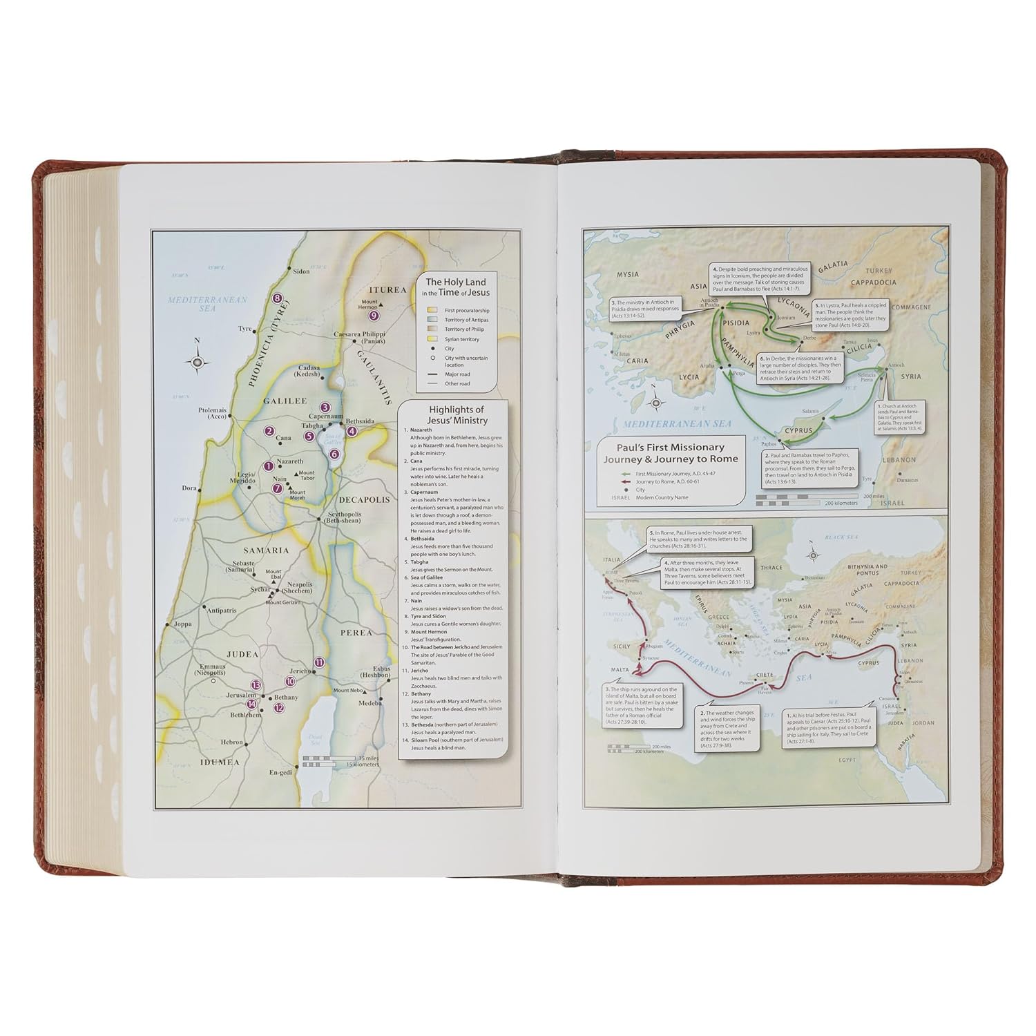 206-1237 Product Image 10