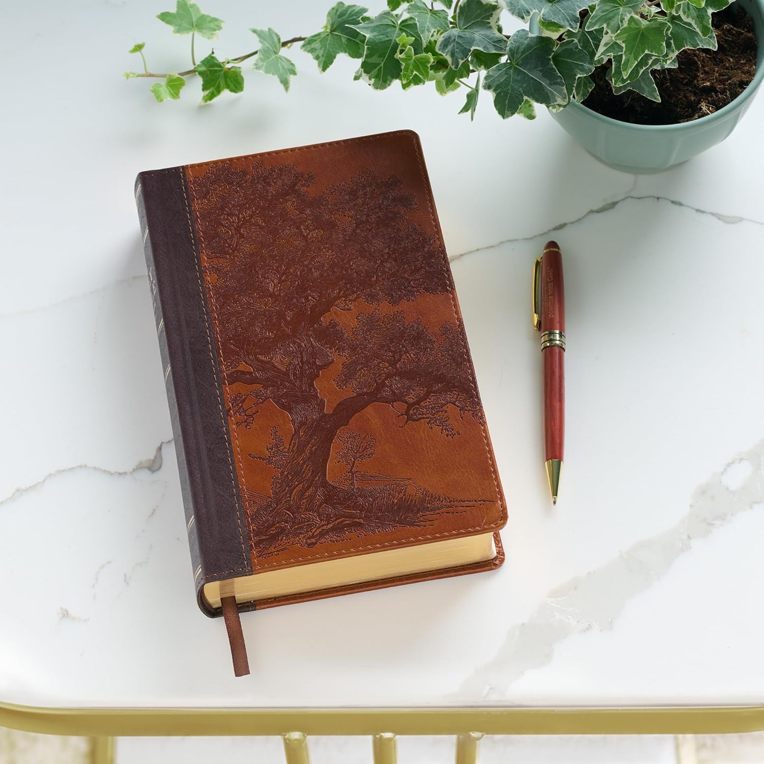 206-1237 Product Image 3