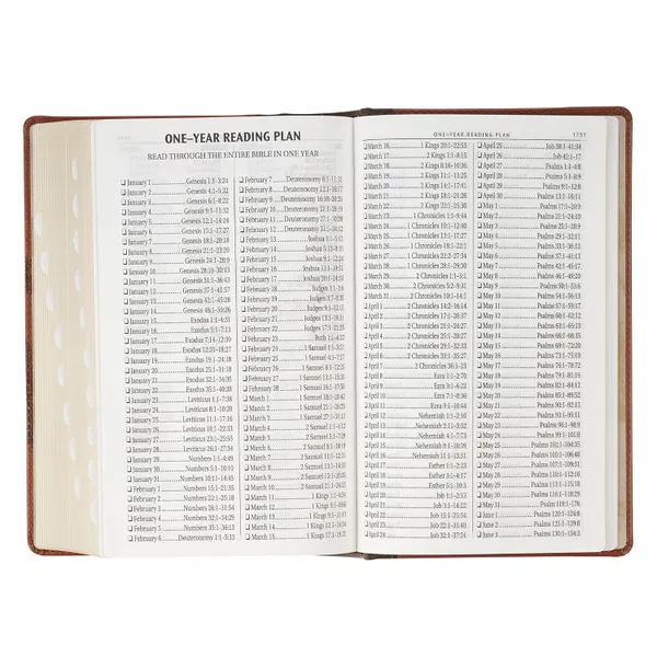 206-1237 Product Image 7