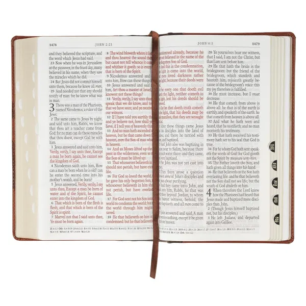 206-1237 Product Image 8