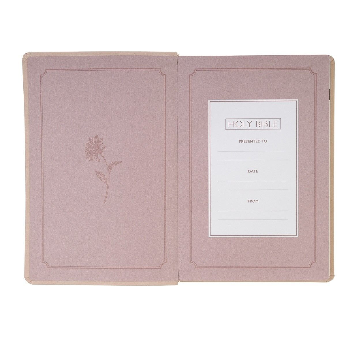 206-1242 Product Image 3