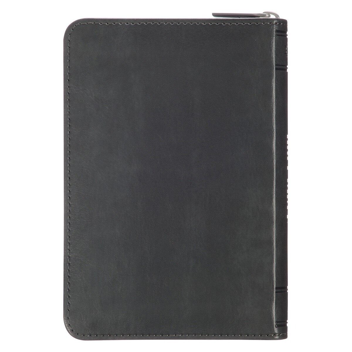 206-1247 Product Image 2