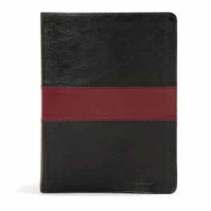 KJV Apologetics Study Bible, Black/Red Leathertouch