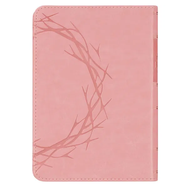 206-1312 Product Image 2