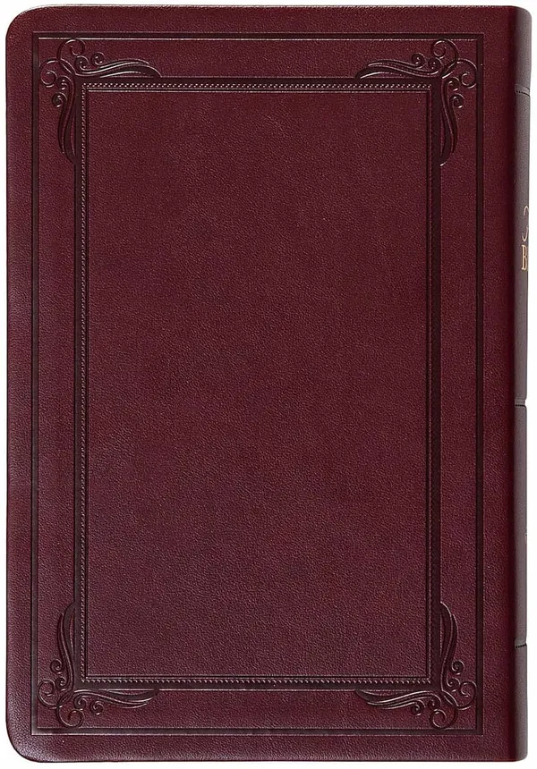 206-1323 Product Image 2