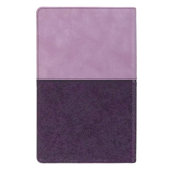 206-1341 Product Image 2