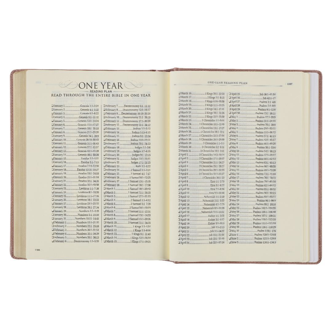 206-2004 Product Image 6