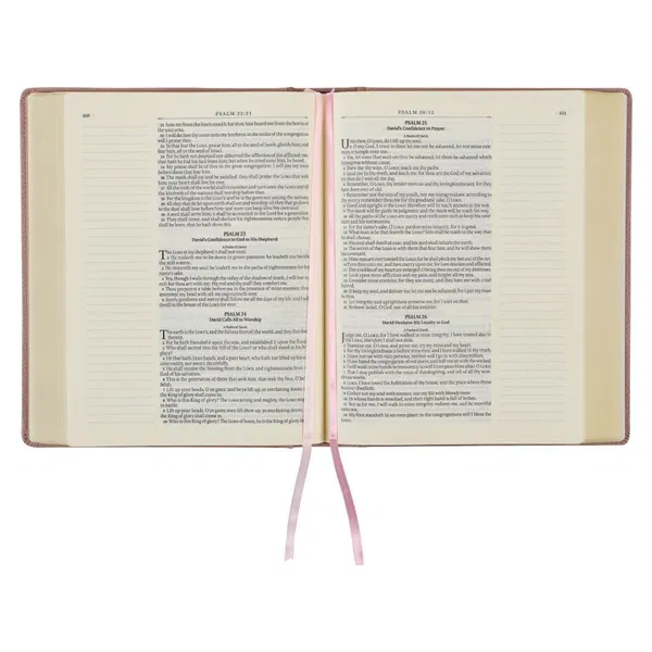 206-2004 Product Image 7