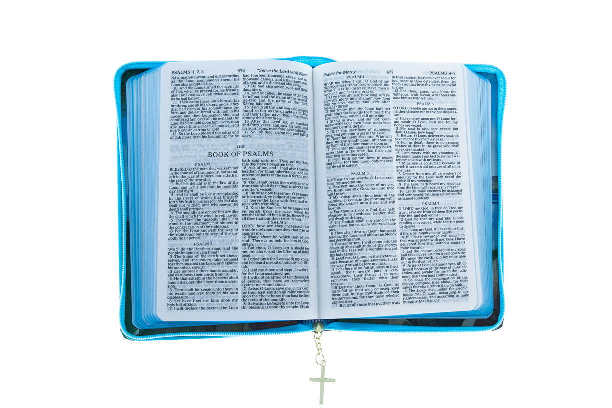 206-2085 Product Image 2