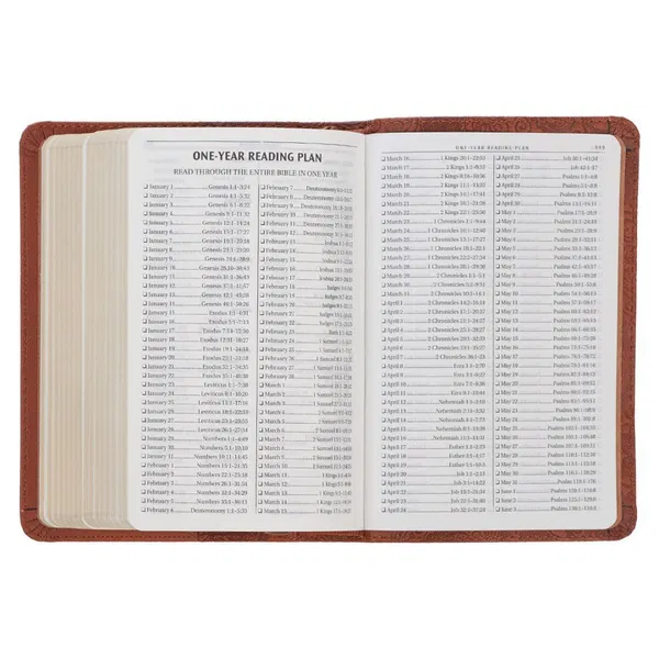 206-2098 Product Image 8