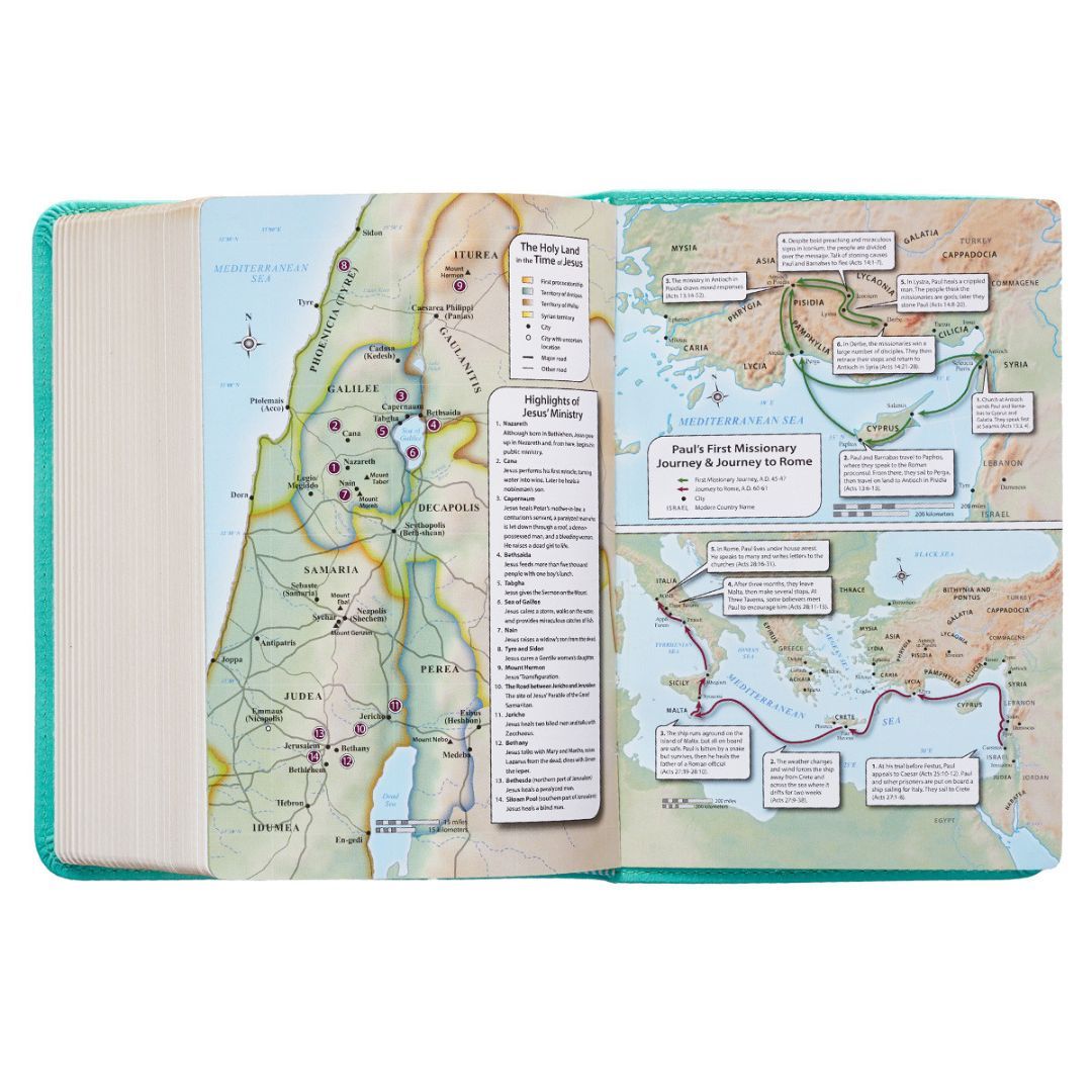 206-2099 Product Image 5