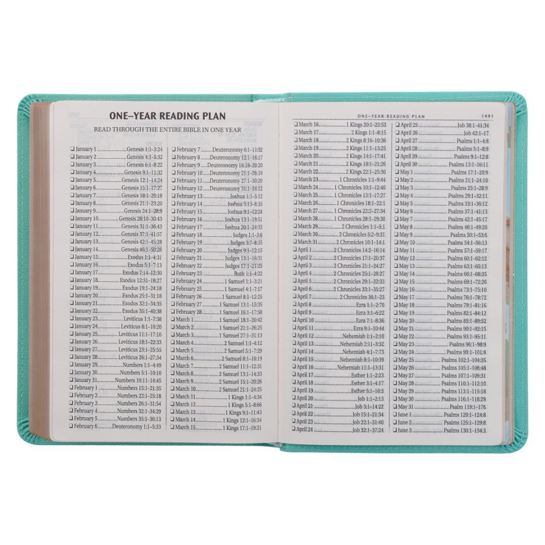 206-2099 Product Image 7