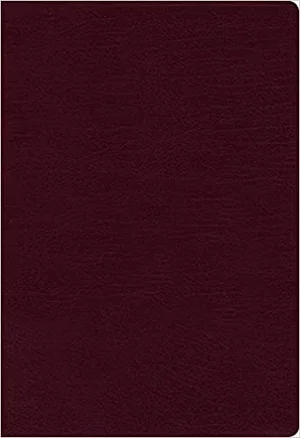 NASB, Thinline Bible, Large Print, Bonded Leather, Burgundy, 1995