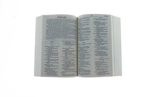 209-0052 Product Image 2