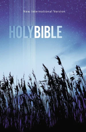 NIV Value Outreach Bible-Blue Wheat Softcover