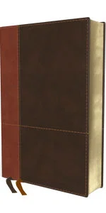 NIV, Personal Size Reference Bible, Large Print, Imitation Leather Indexed