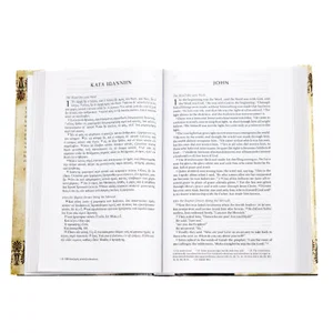 NIV Greek and English New Testament