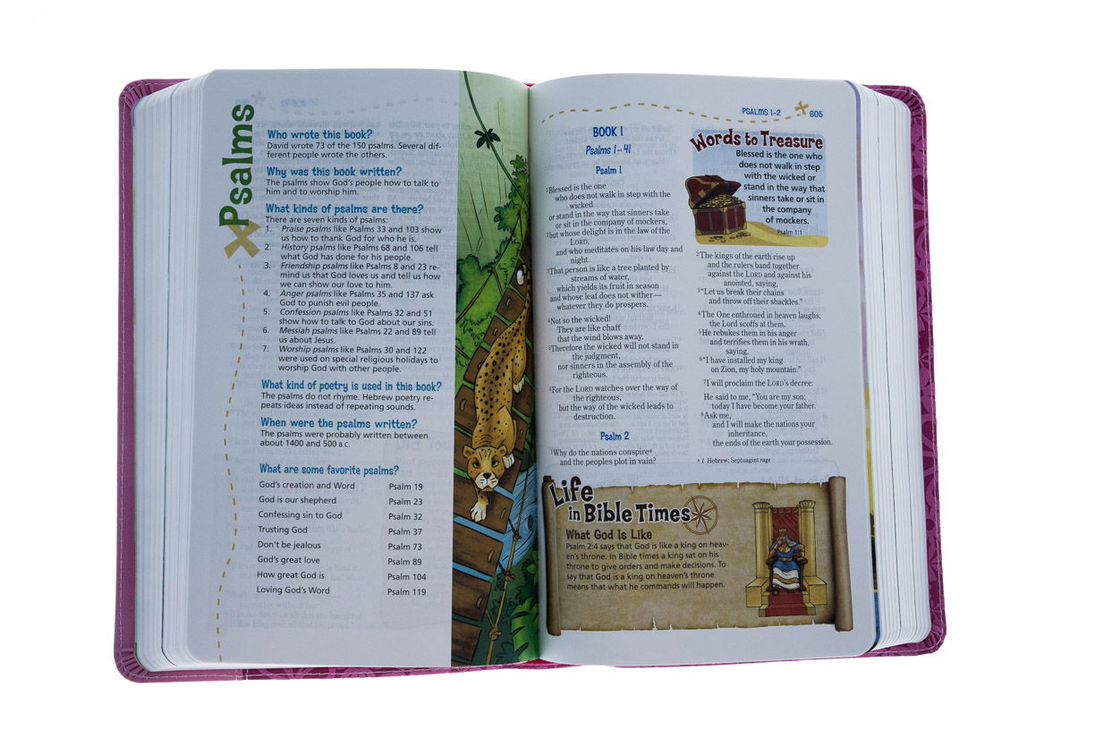 210-0250 Product Image 3