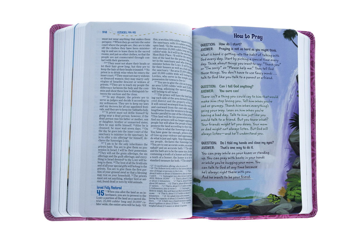 210-0250 Product Image 4