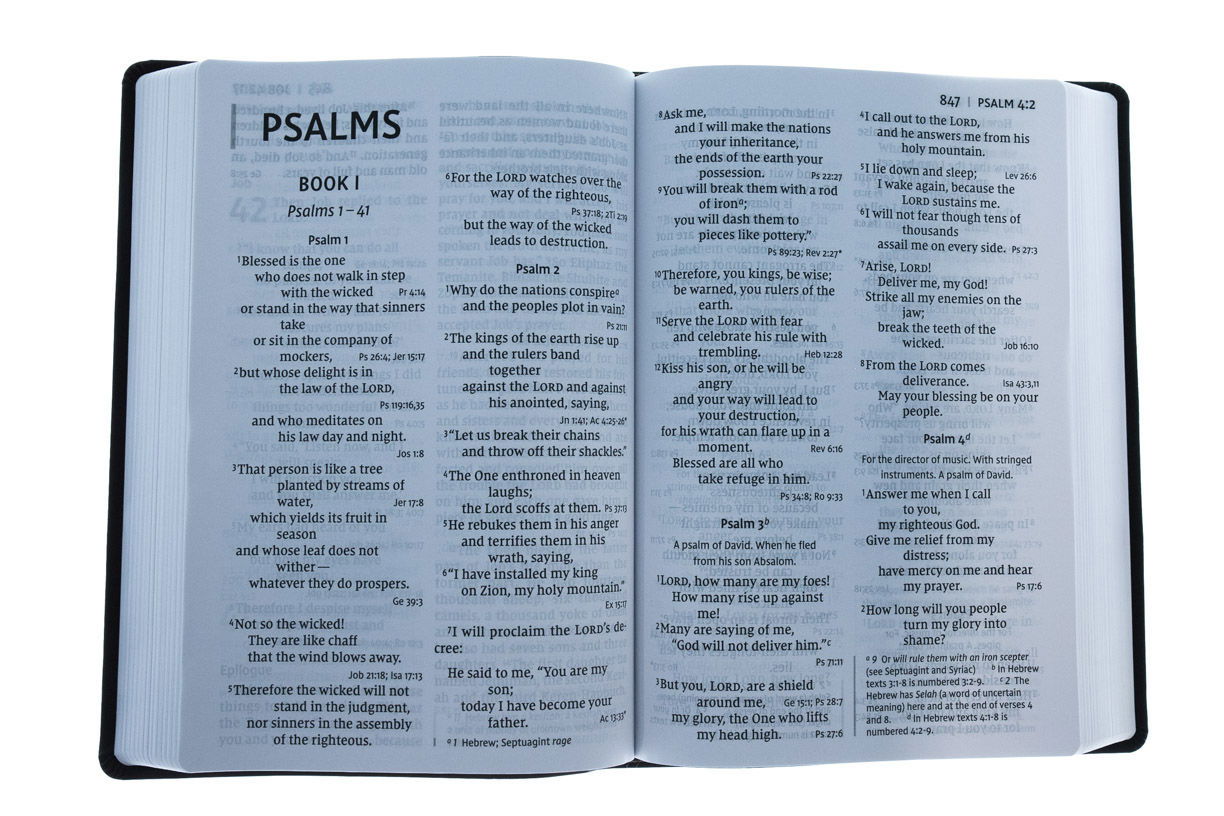 Product 210-0403 - View 2 210-0403 Product Image 2