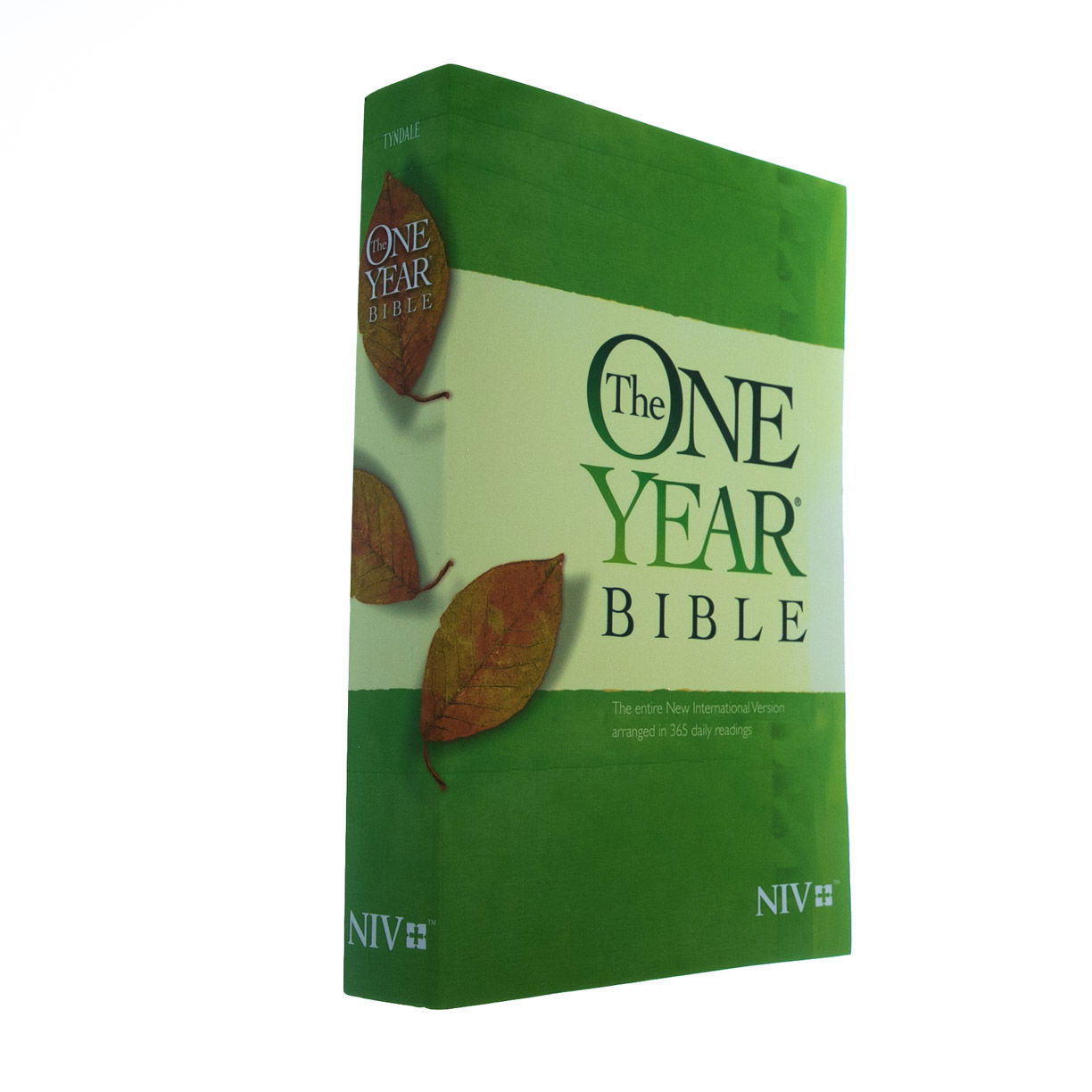 Product 210-0489 - View 2 210-0489 Product Image 2