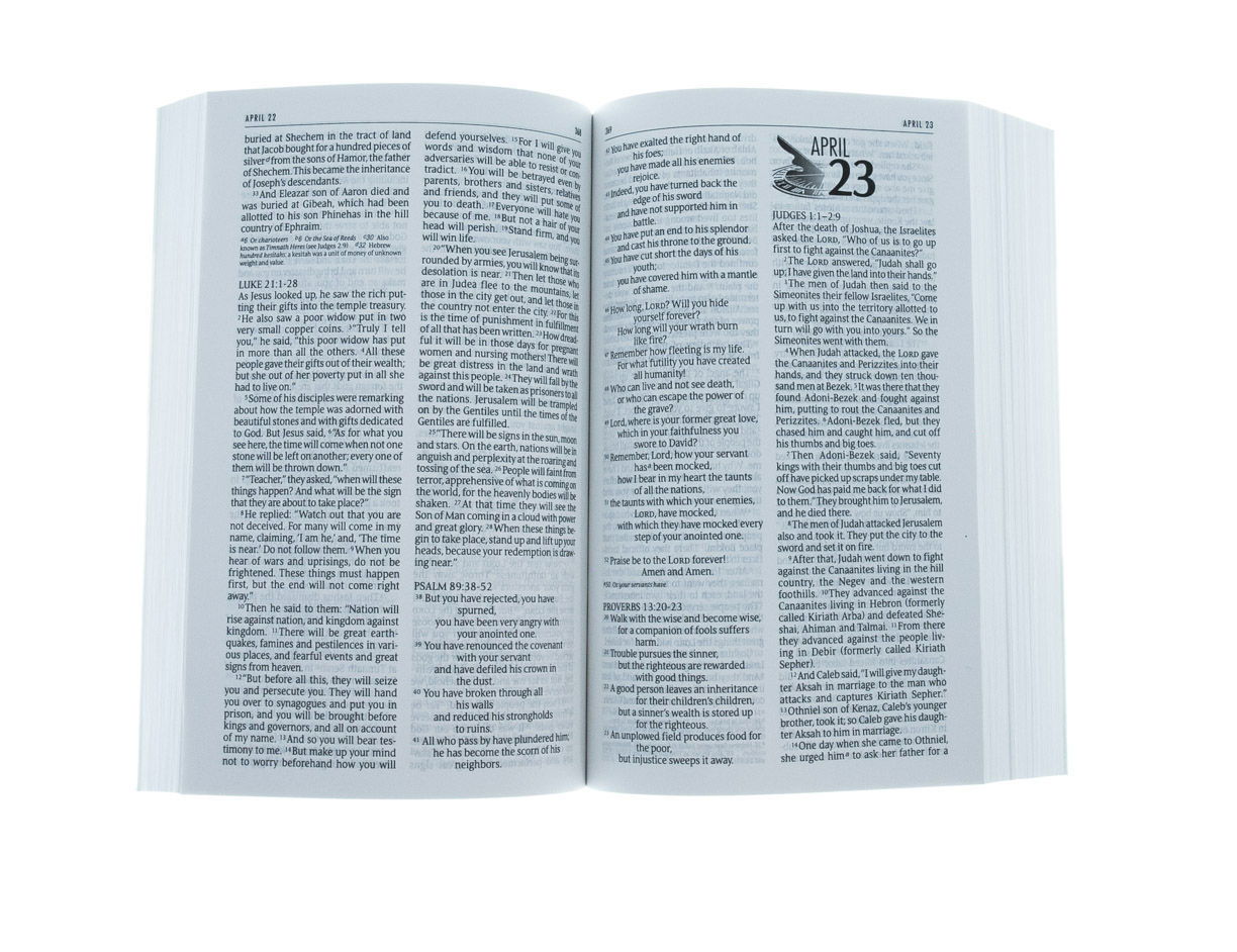 Product 210-0489 - View 3 210-0489 Product Image 3