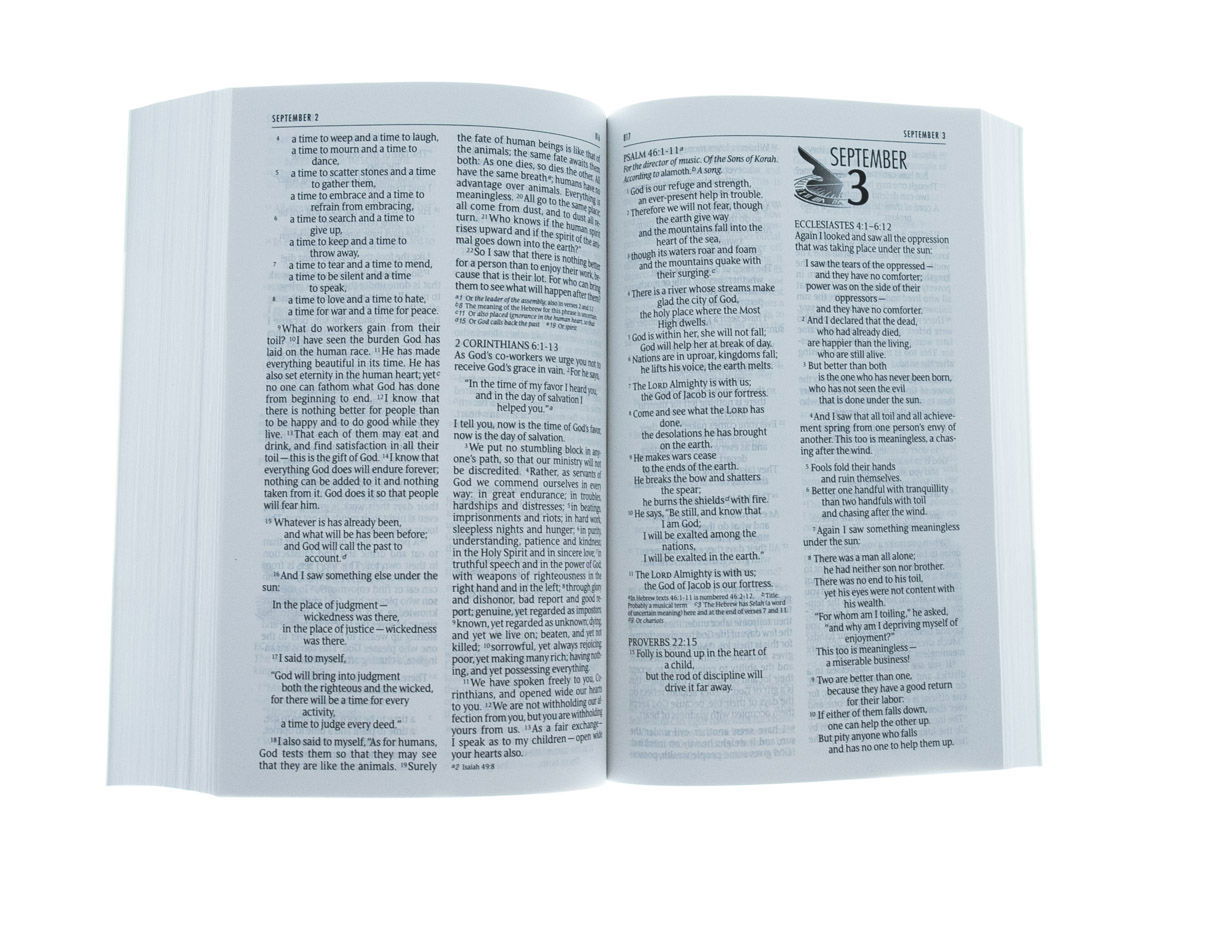 Product 210-0489 - View 4 210-0489 Product Image 4