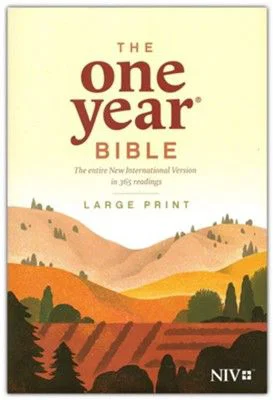 NIV One Year Bible-Premium Slimline Large Print