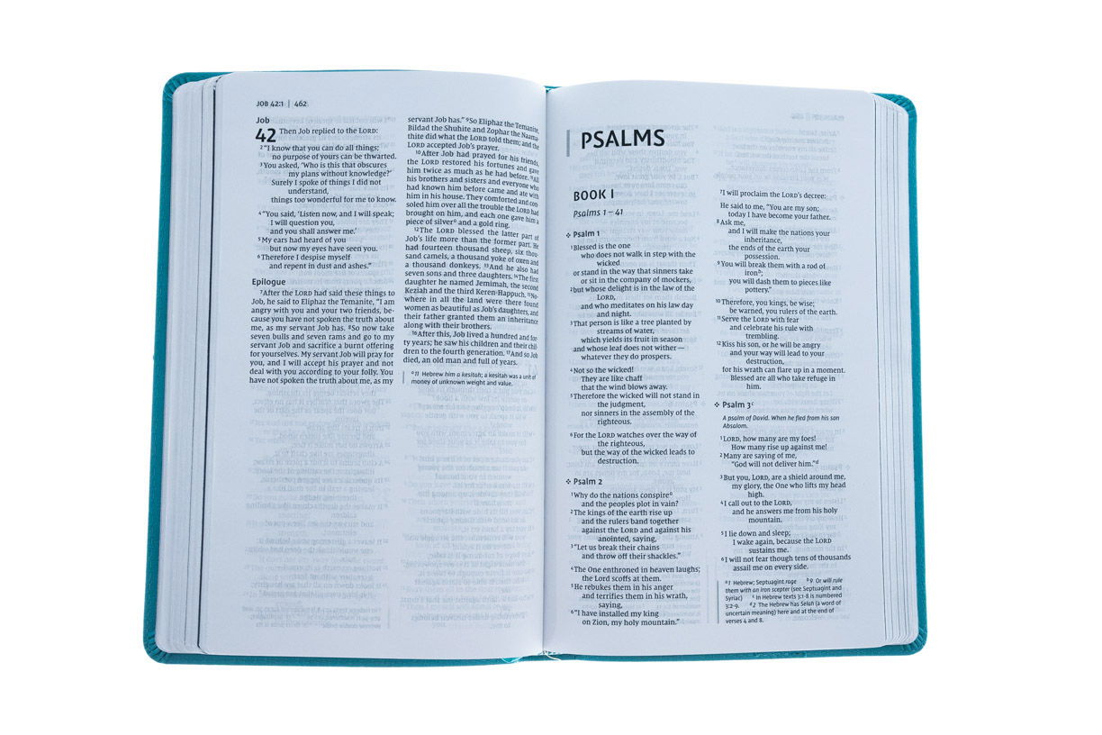 Product 210-0502 - View 3 210-0502 Product Image 3