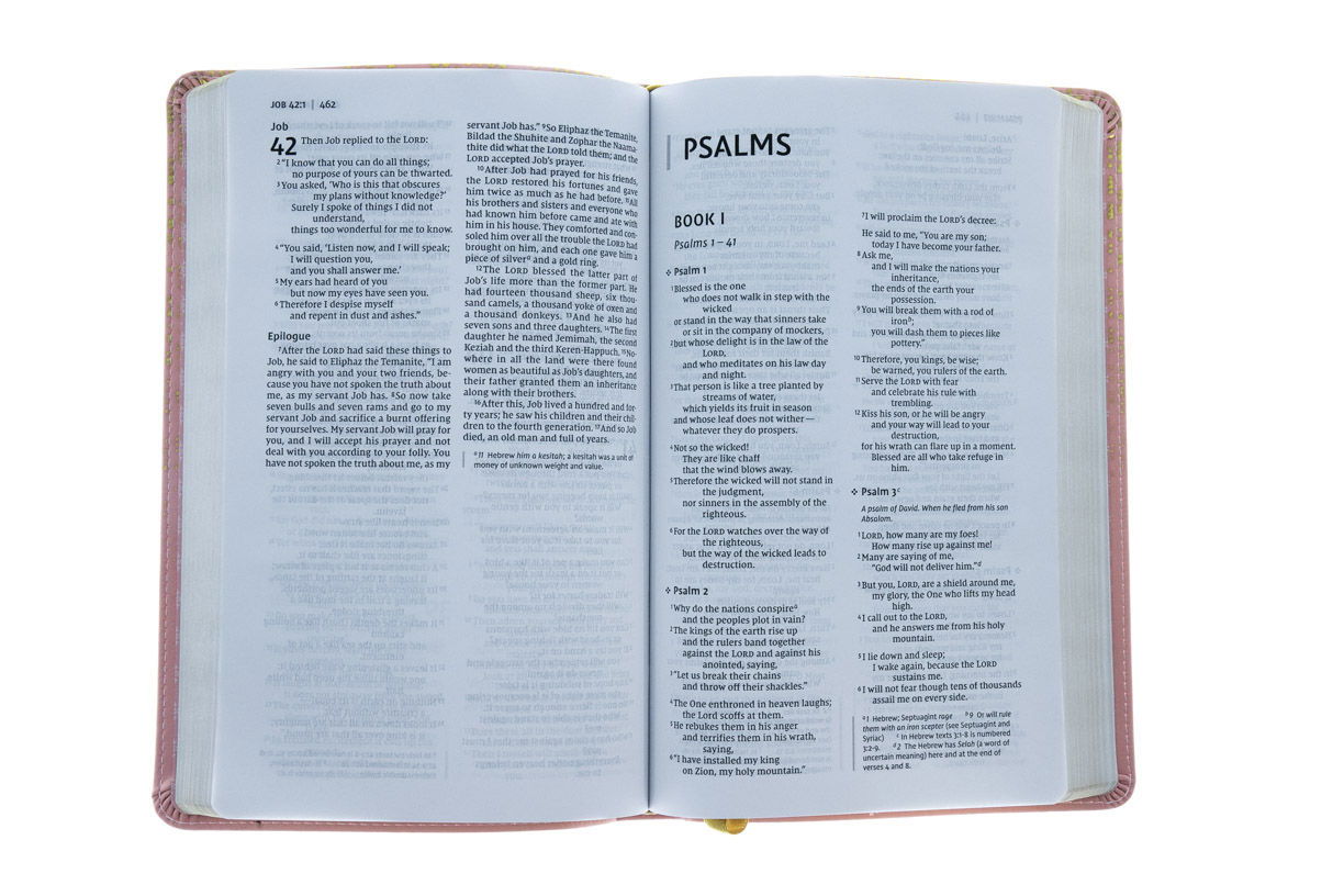 210-0531 Product Image 4