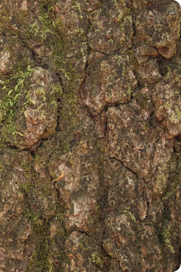210-0606 Product Image 3