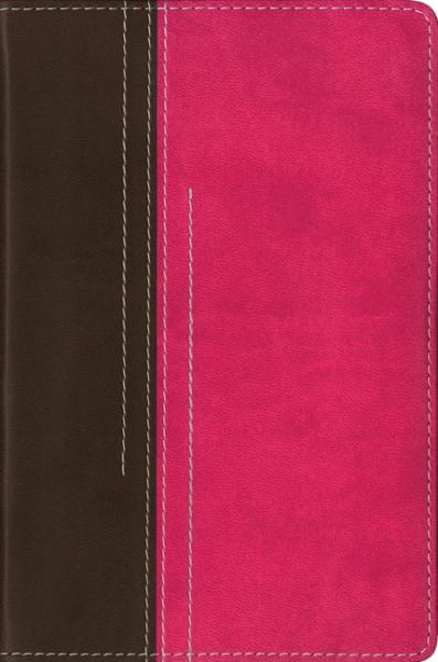 Image of NIV Compact Bible  Chocolate / Hot Pink