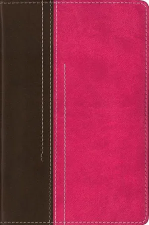 NIV Compact Bible  Chocolate / Hot Pink