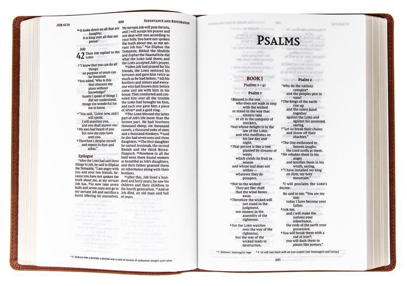 210-0623 Product Image 2