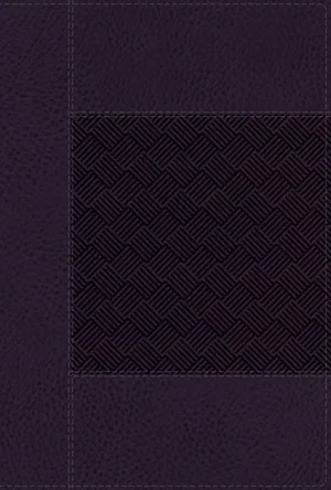 NIV Wide Margin Bible, Leathersoft, Navy