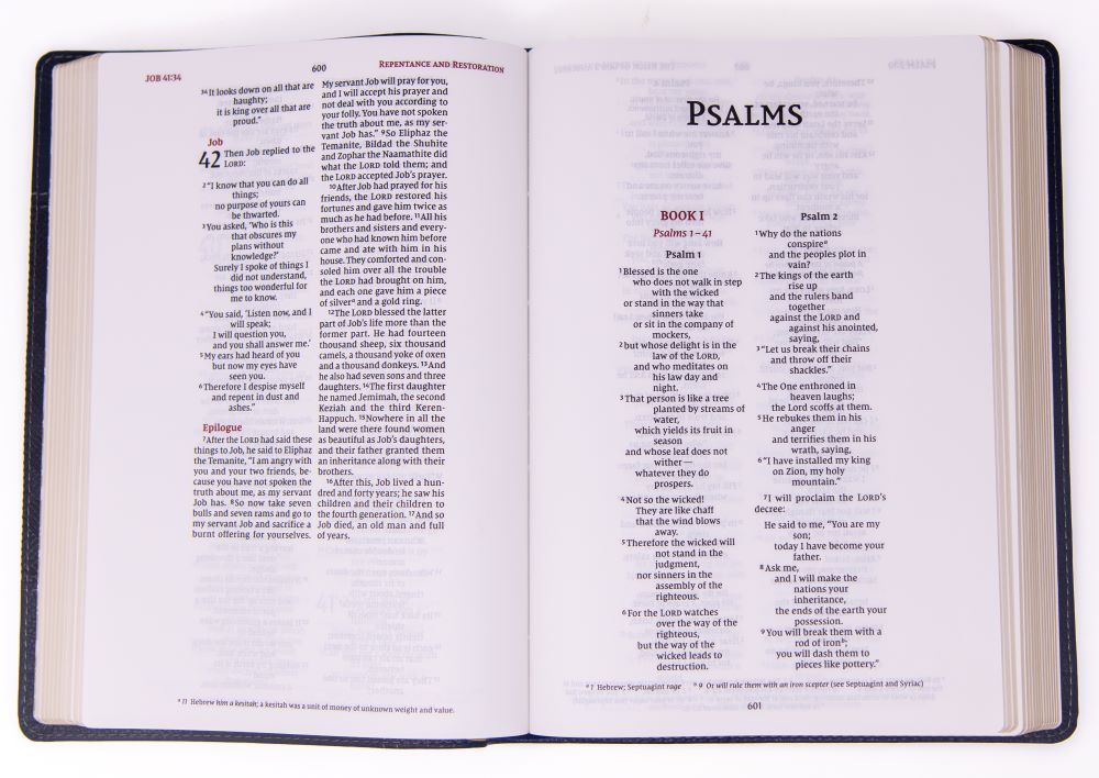 Product 210-0624 - View 2 210-0624 Product Image 2