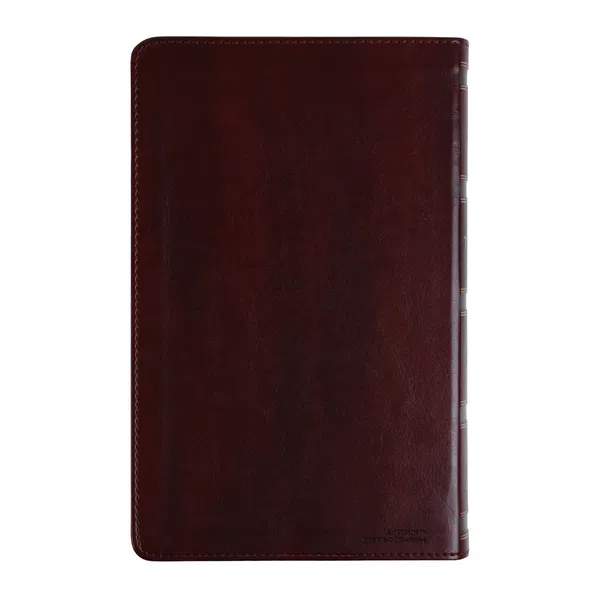 210-0626 Product Image 3