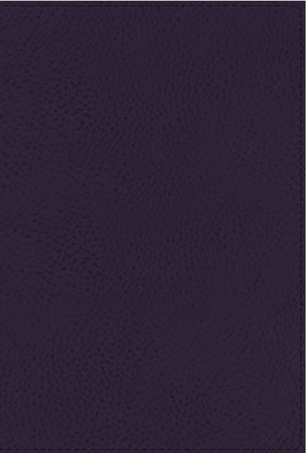 210-0629 Product Image 1