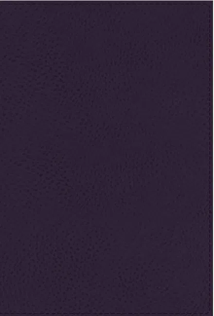 210-0629 Product Image 1
