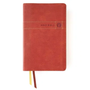 NIV Men's Devotional Bible, Leathersoft Brown