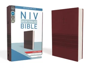 NIV, Value Thinline Bible, Large Print, Imitation Leather